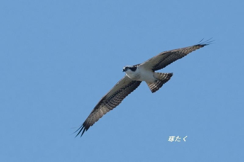 1a-ADSCF0069.jpg