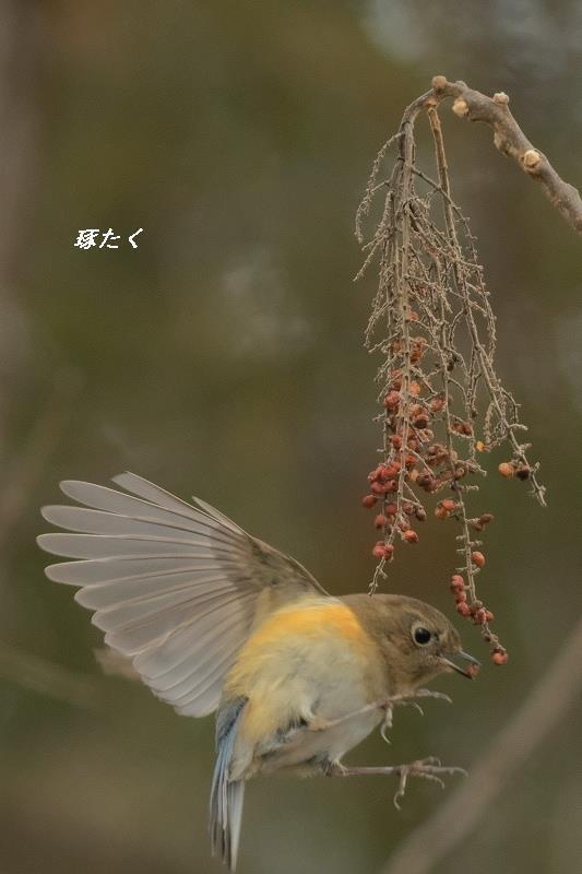 1a-ADSCF0121.jpg