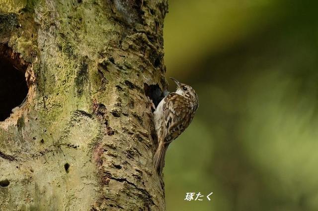 1a-ADSCF0909.jpg