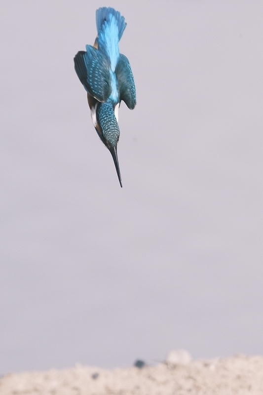 a-ADSCF0737.jpg