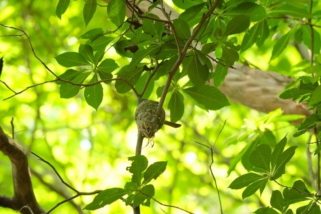 a-ADSCF2095.jpg