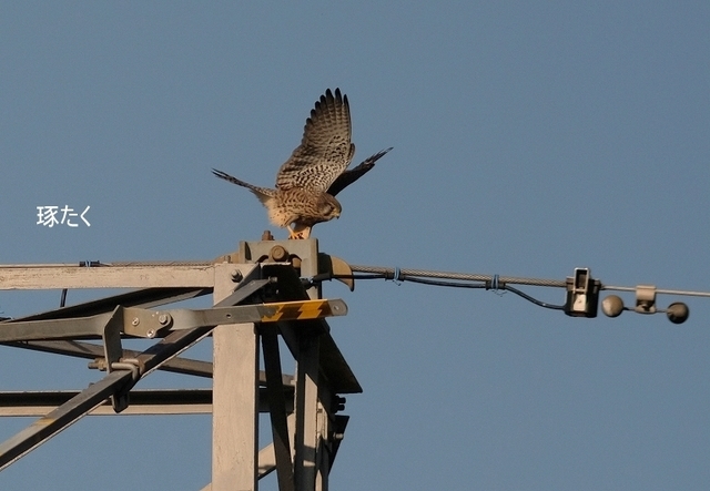 s-DSCF4106-001.jpg