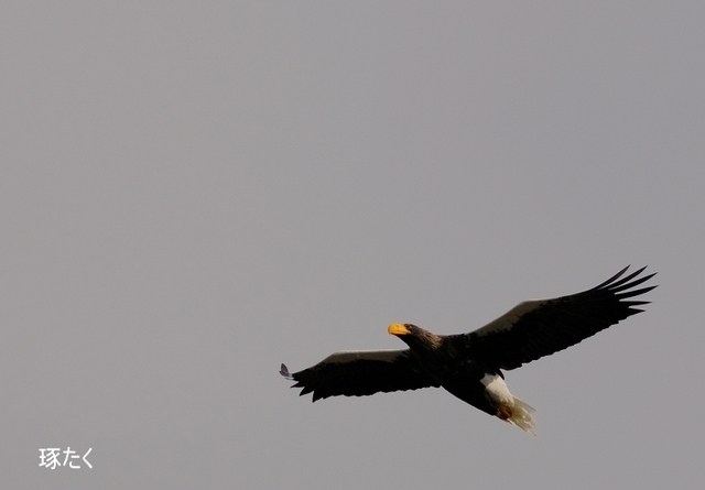 s-DSCF7372-001.jpg