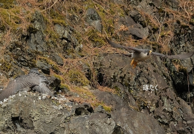 s-DSCF9118-001.jpg
